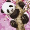 DIY Panda at Leisure Digital Painting