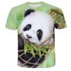 Mens 3D Digital Printed Panda Colored T-shirt